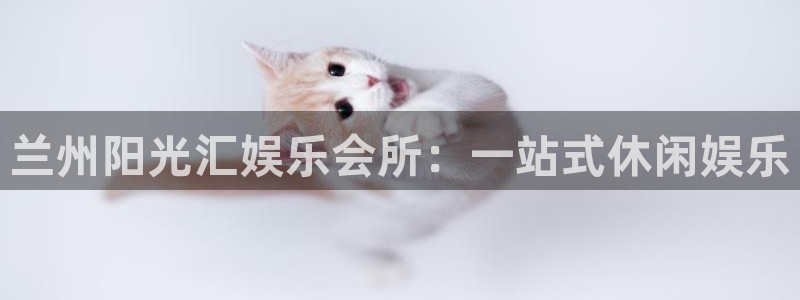 盛煌平台.ccm苹果版