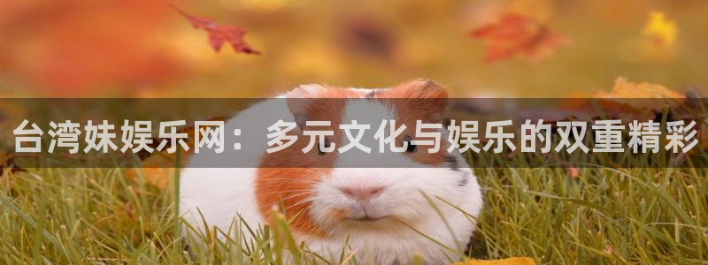盛煌平台：台湾妹娱乐网：多元文化与娱乐的双重精彩