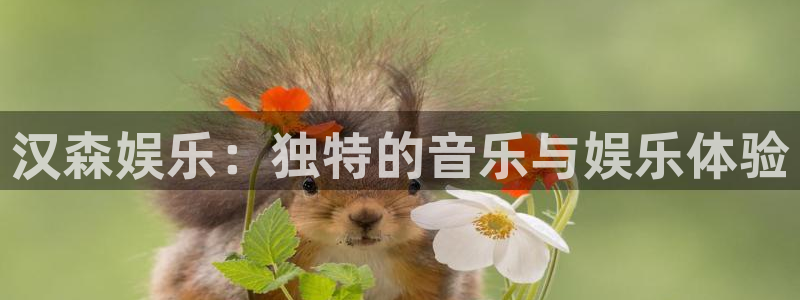 盛煌平台3平台登录注册：汉森娱乐：独特的音乐与娱乐体验