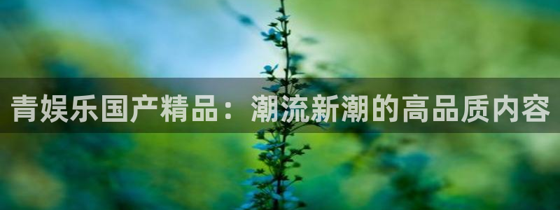 盛煌平台注册入口与教程：青娱乐国产精品：潮流新潮的高品质内容