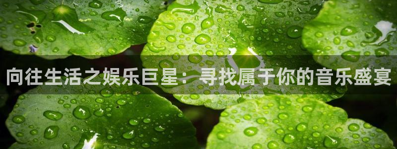 东莞市盛煌平台电子科技有限公司：向往生活之娱乐巨星：寻找属于你的音乐盛宴