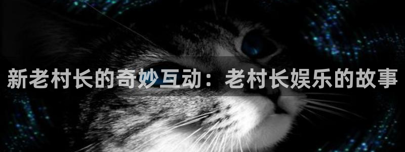 盛煌平台链接：新老村长的奇妙互动：老村长娱乐的故事