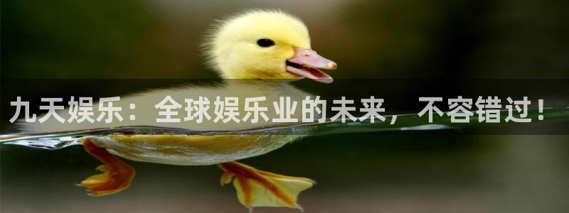 盛煌平台下载二维码：九天娱乐：全球娱乐业的未来，不容错过！