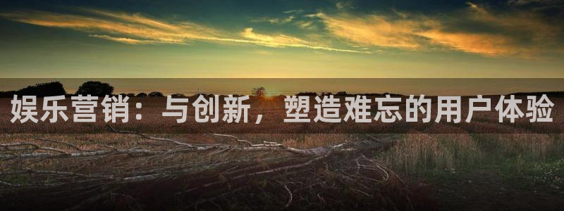 盛煌平台4平台：娱乐营销：与创新，塑造难忘的用户体验