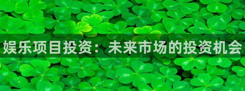 南宫盛煌平台：娱乐项目投资：未来市场的投资机会