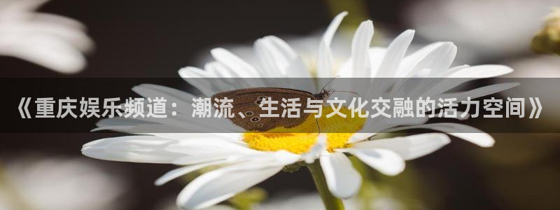 盛煌平台凯捷开号链接：《重庆娱乐频道：潮流、生活与文化交融的活力空间》
