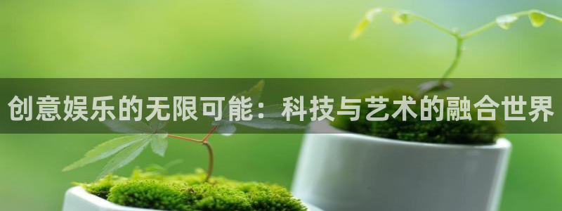 盛煌平台2登录地址：创意娱乐的无限可能：科技与艺术的融合世界