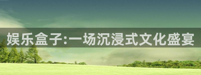 盛煌平台电玩网官网入口