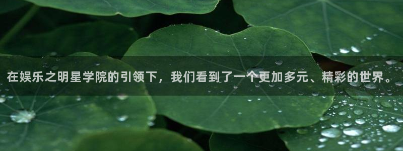 盛煌平台路线1：在娱乐之明星学院的引领下，我们看到了一个更加多元、精彩的世界。