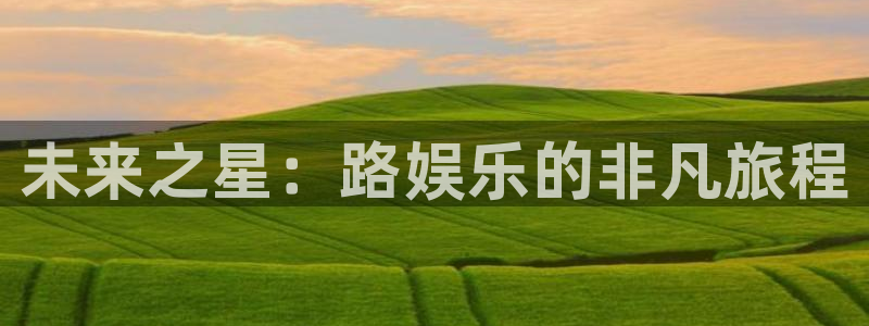 盛煌平台2平台登录：未来之星：路娱乐的非凡旅程