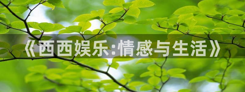 盛煌平台登陆：《西西娱乐:情感与生活》