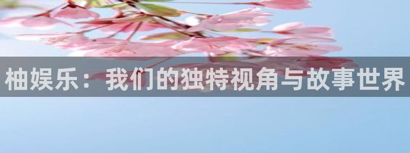 盛煌平台4平台：柚娱乐：我们的独特视角与故事世界