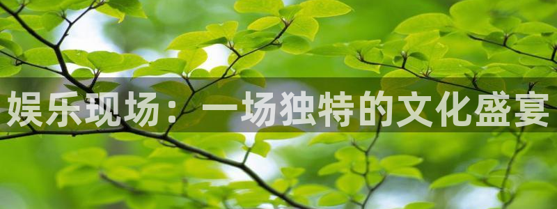 盛煌平台账号注册入口：娱乐现场：一场独特的文化盛宴