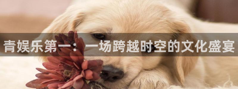 盛煌平台登录网：青娱乐第一：一场跨越时空的文化盛宴