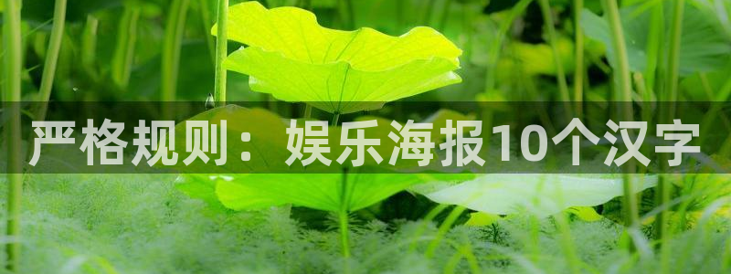 盛煌平台ccm赏金女王：严格规则：娱乐海报10个汉字