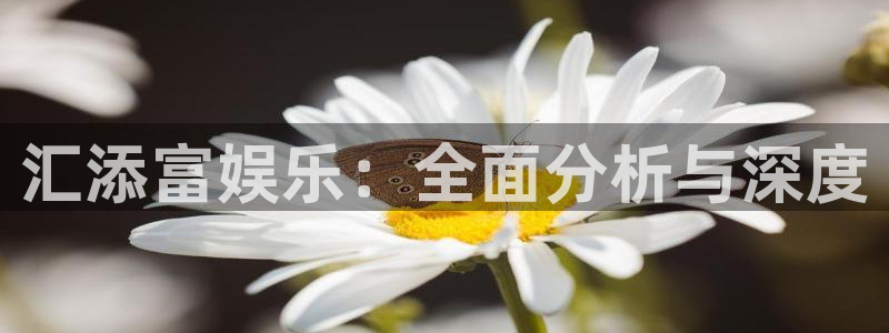 盛煌平台体育注册代理：汇添富娱乐：全面分析与深度