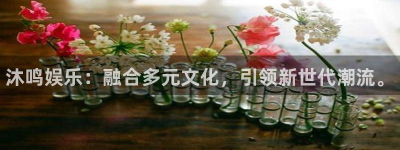 盛煌平台体育app下载：沐鸣娱乐：融合多元文化，引领新世代潮流。
