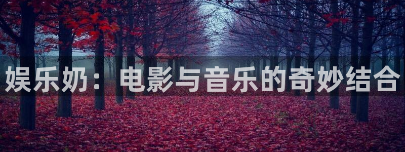 盛煌平台平台总代理：娱乐奶：电影与音乐的奇妙结合