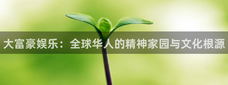 盛煌平台平台管网入口：大富豪娱乐：全球华人的精神家园与文化根源