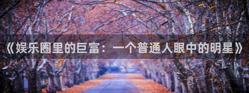 盛煌平台体育网页版入口：《娱乐圈里的巨富：一个普通人眼中的明星》
