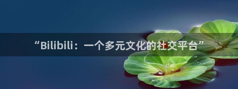 盛煌平台5：“Bilibili：一个多元文化的社交平台”