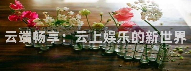 盛煌平台体育2官网入口：云端畅享：云上娱乐的新世界